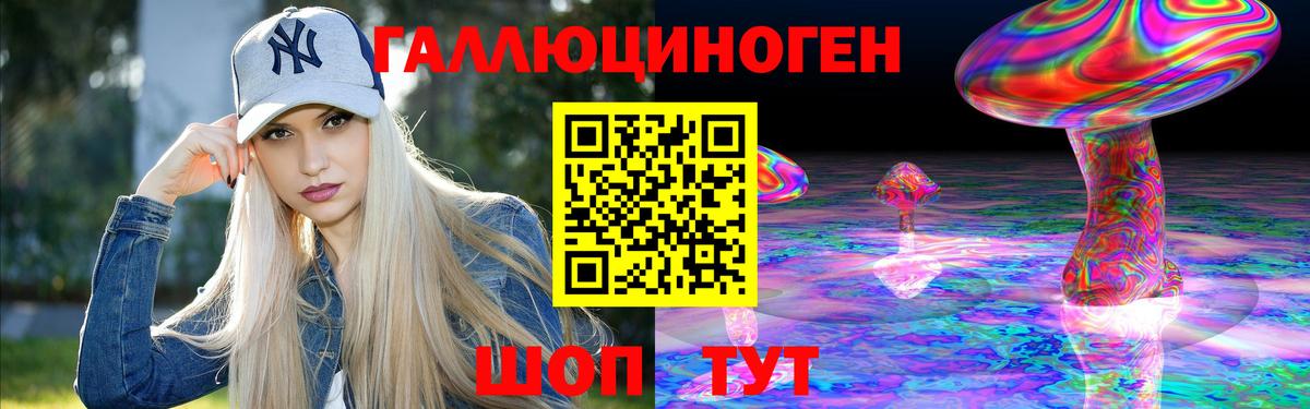 Галлюциногенные грибы Psilocybe Якутск